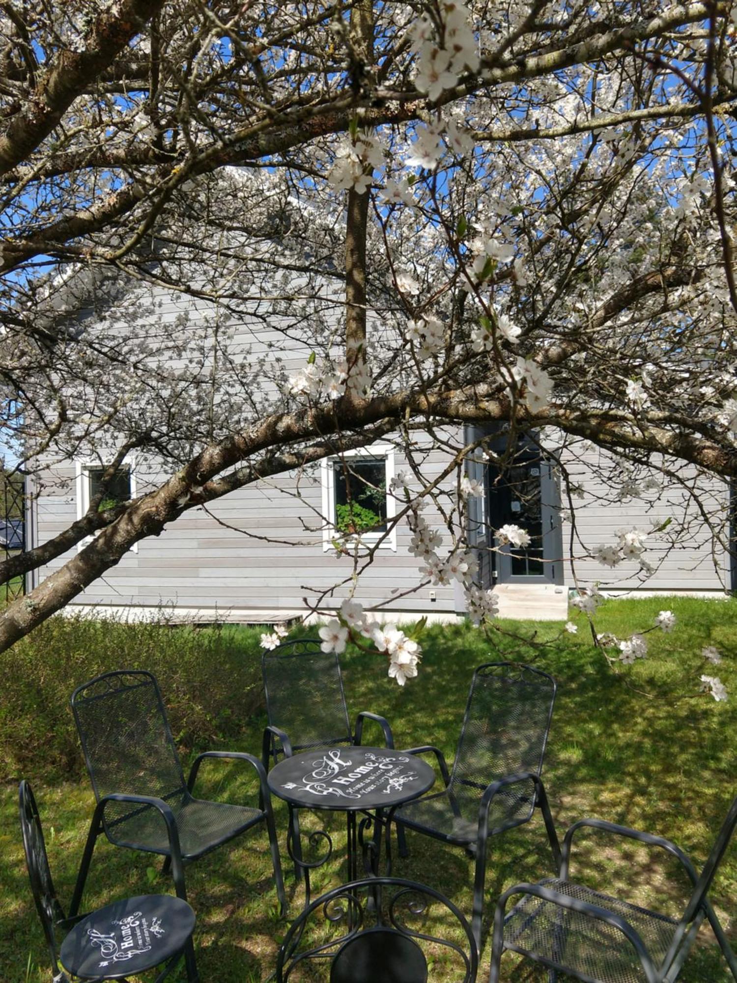 Aromahouse Villa Lipliunai Exteriör bild